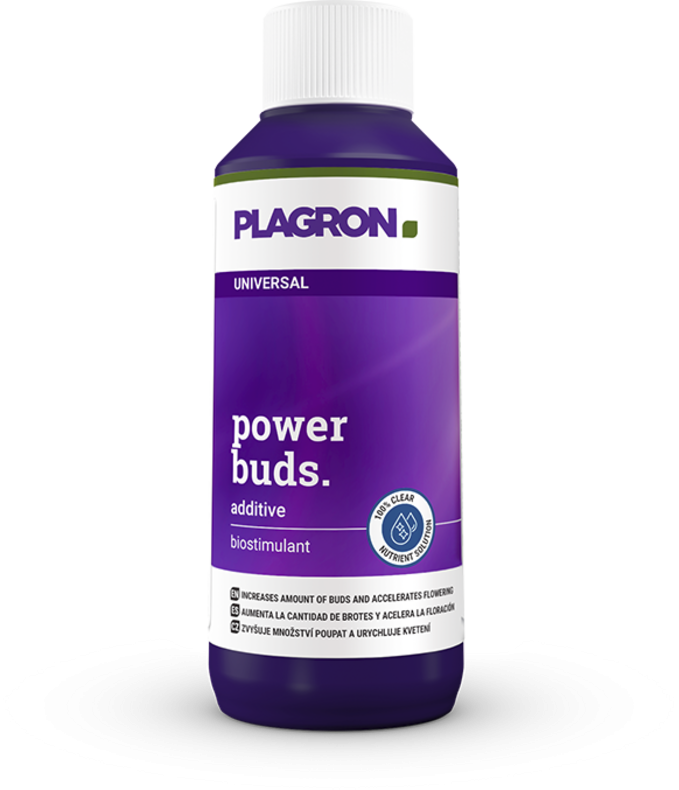 PLAGRON® | Puissance – Bourgeons