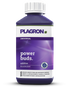 PLAGRON® | Power - Buds